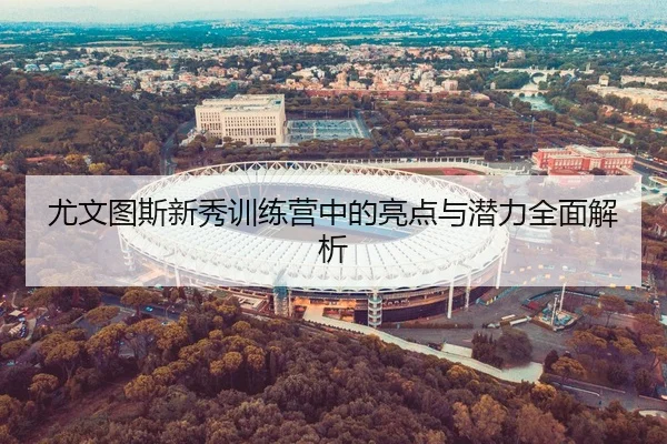 尤文图斯新秀训练营中的亮点与潜力全面解析